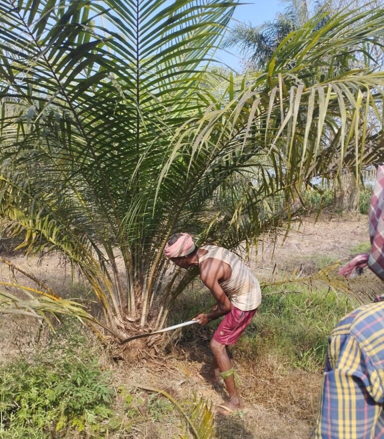 WhatsApp Image 2025-10-03 at 20.32.00