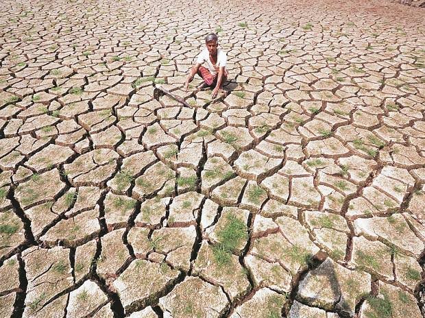 Shadows Over the Fields in Telangana and AP