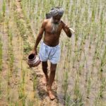 The Twin Telugu States' Agrarian Paradox