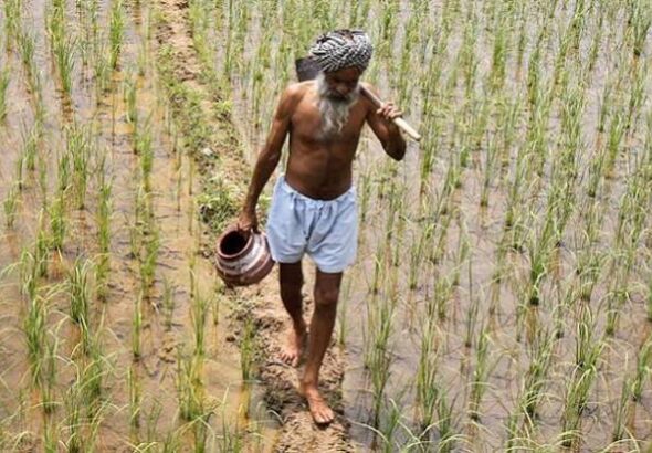The Twin Telugu States' Agrarian Paradox