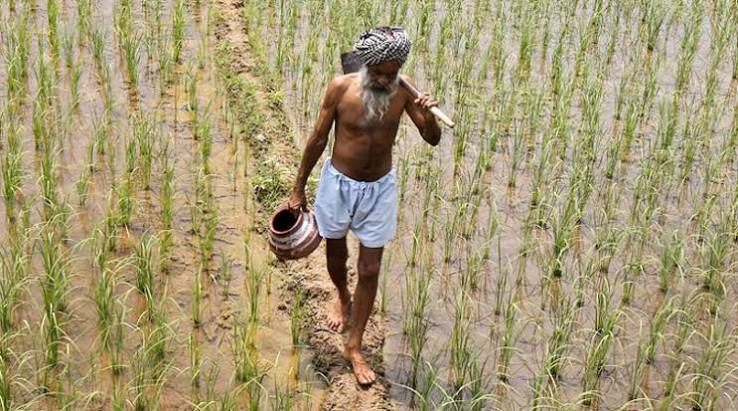The Twin Telugu States' Agrarian Paradox