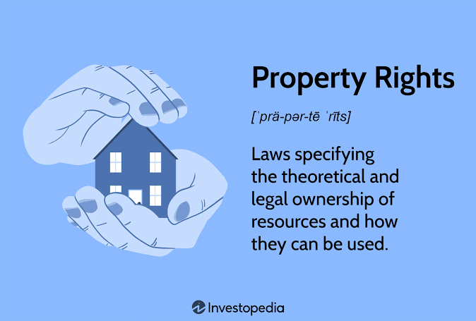 Bureaucracy vs. Property Rights